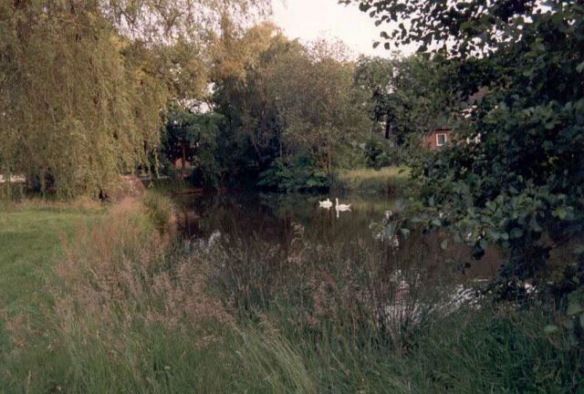 stue1990-02