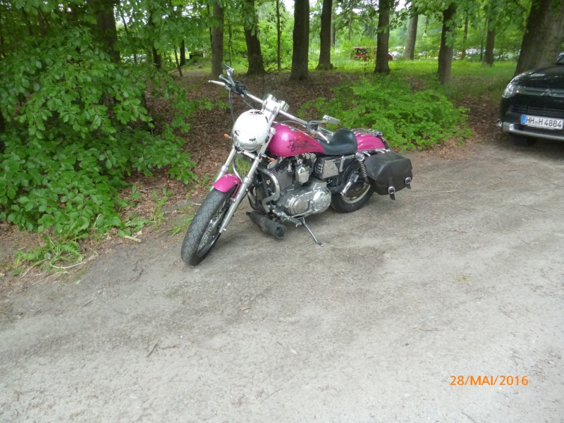 stue2016-386