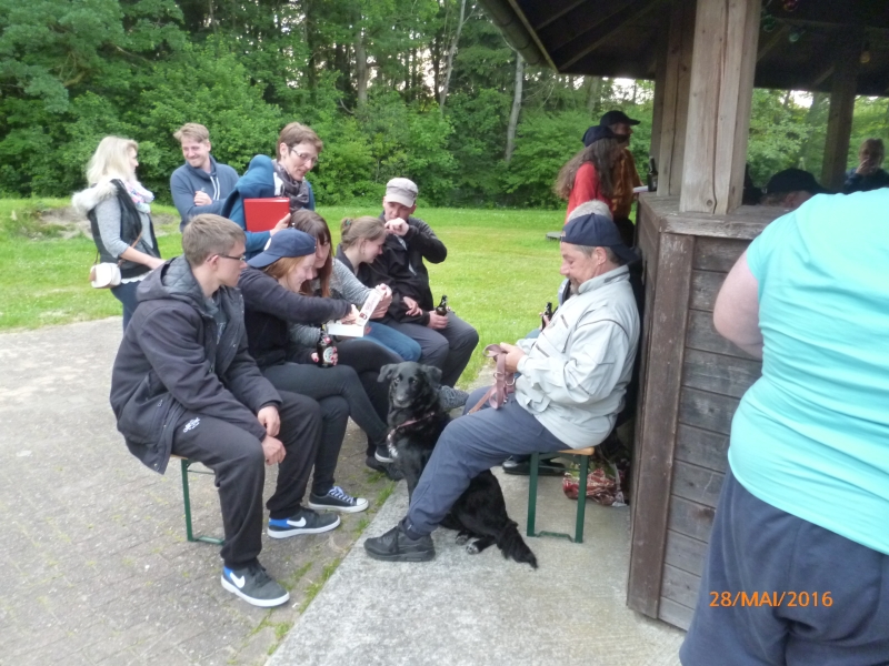 stue2016-394